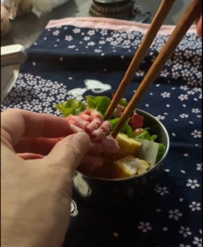 投稿動画のワンシーン