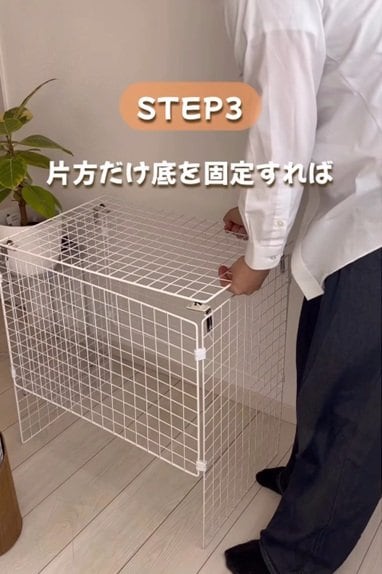 投稿の画像
