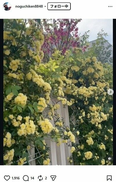 野口健のInstagram投稿