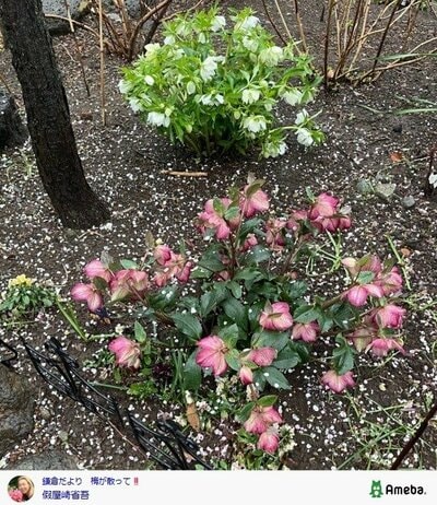 假屋崎省吾の公式ブログ投稿