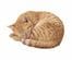 寝相がとっても自由な猫に注目集まる　飼い主の上で寝る幸せそうな姿に「これはご褒美」「猫的に絶大な信頼」