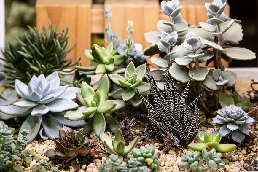 Photo Vision Studio/Shutterstock.com