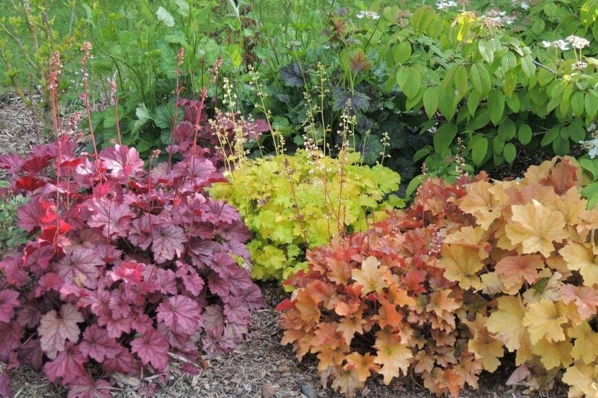 Buquet Christophe/shutterstock.com