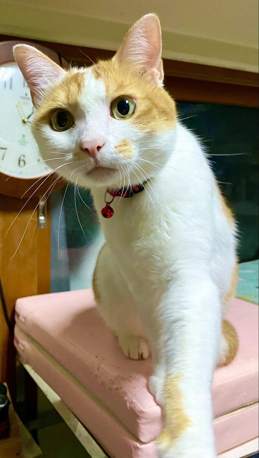 出所：@luna7taka9