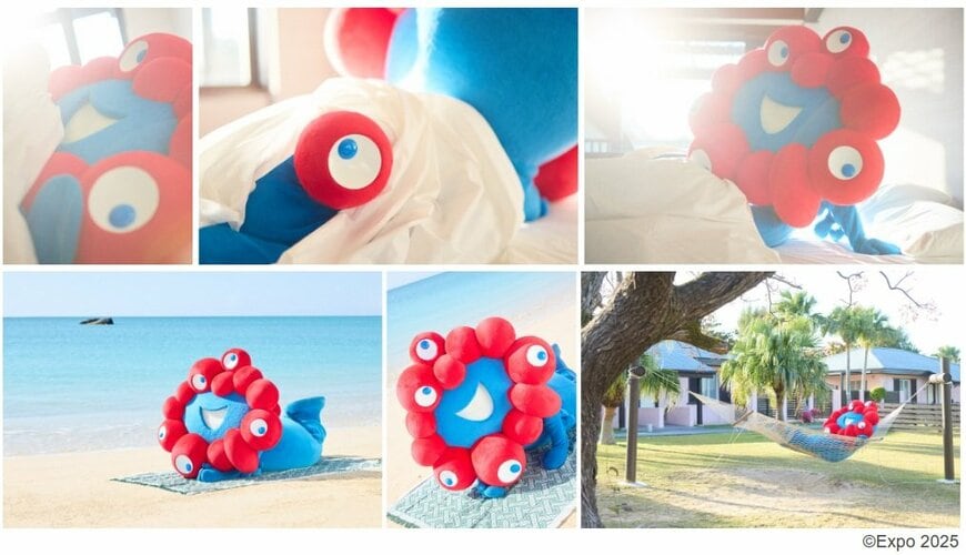 出所：株式会社フェリシモ