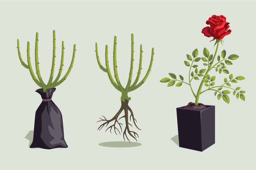 Mashikomo/shutterstock.com