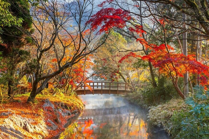 cowardlion/shutterstock.com