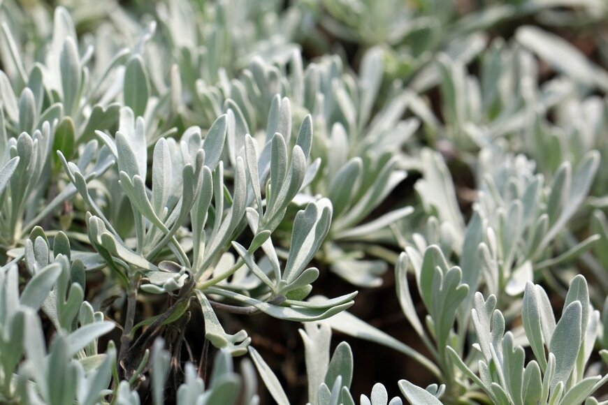 Skyprayer2005/shutterstock.com