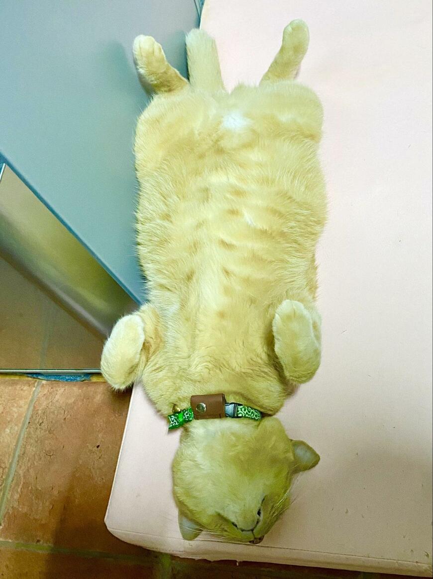 出所：@luna7taka9