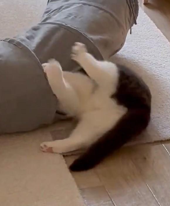 出所：@omochiomoching