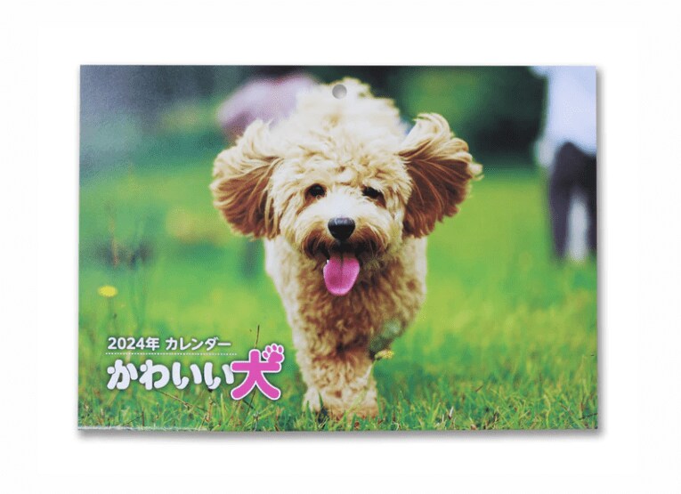 出所：DAISO公式通販ダイソーネットストア