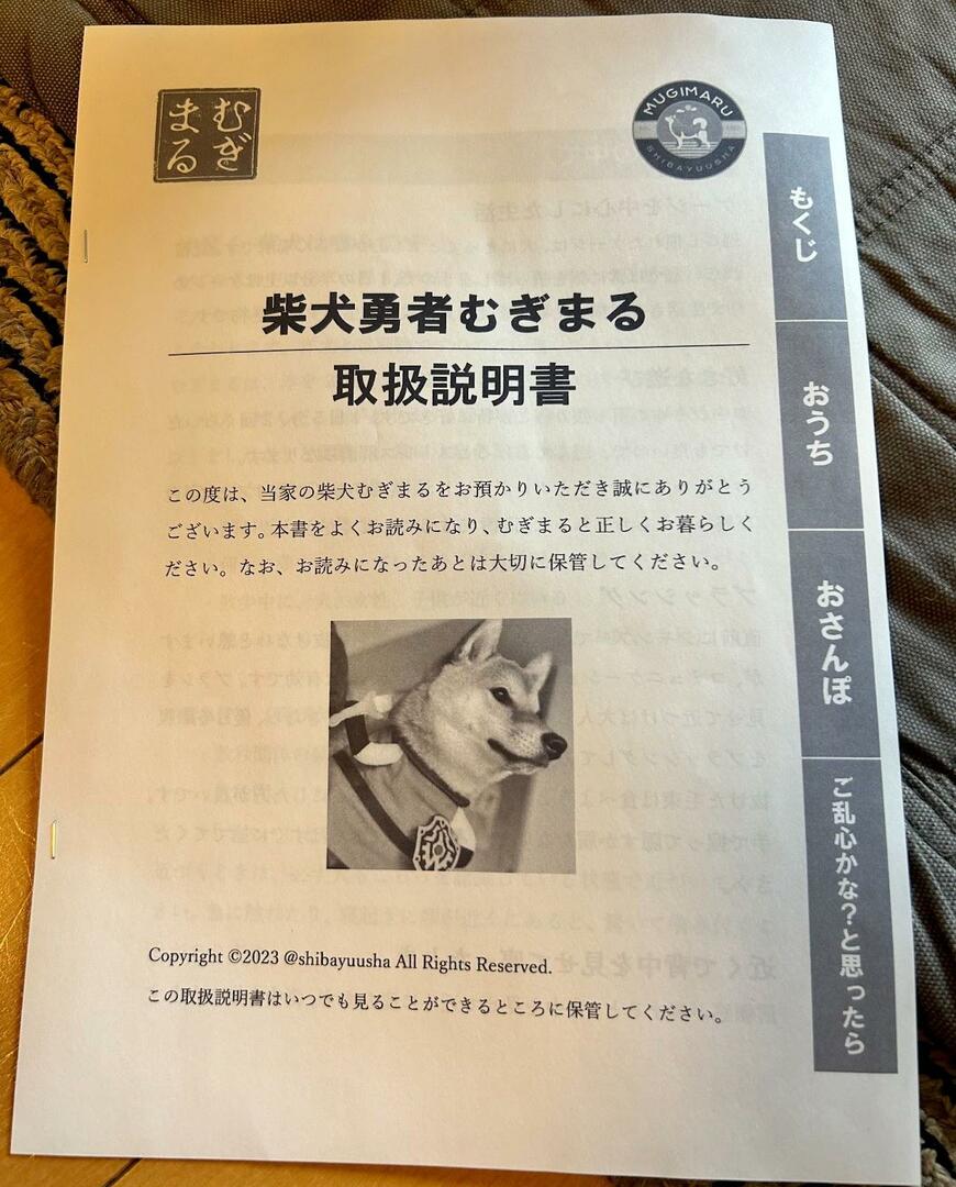 出所：@shibayuusha