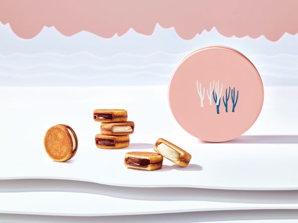 出所：株式会社　大丸松坂屋百貨店「【大丸梅田店】北海道発・冬季限定スイーツ＜SNOWS（スノー）>がバレンタイン期間限定出店。粉雪のような口溶け広がる新商品トリプルチョコレートチップス「スノーチップス」も登場！」（2024年1月22日）PR TIMES