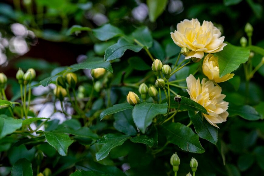 icebergpicture/istockphoto.com