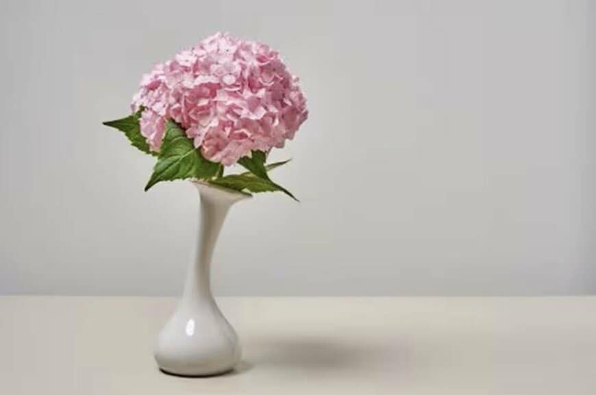 78歳 柏木由紀子 FENDIの付け襟×ブラックコーデでティファニーのカフェ満喫「ヘップバーンのよう」「おしゃれ感いっぱい」の声
