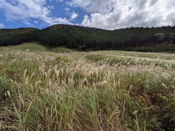 出典：ダッチ129/写真AC