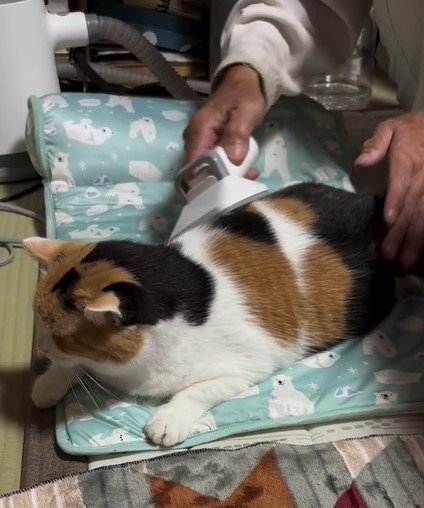 出所：@mike_noritama