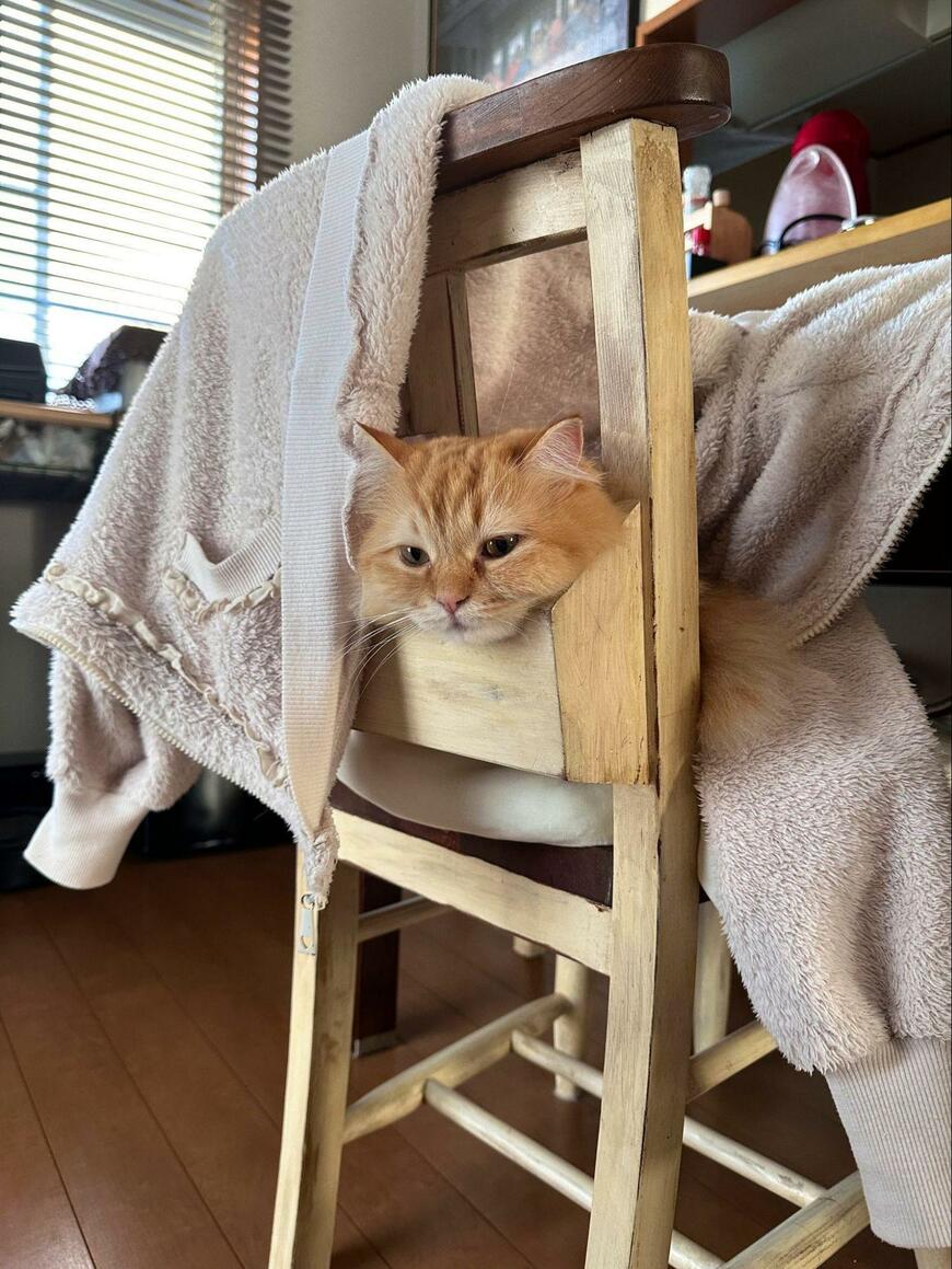 出所：@NEKOLAND13