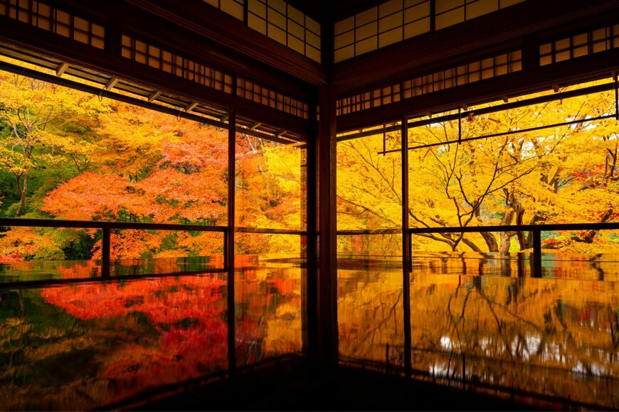 Avant Visual/shutterstock.com