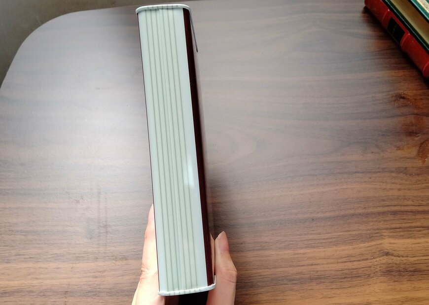 筆者撮影（ダイソー　お札が入れられる貯金箱（ブック柄）180×90×30mm）