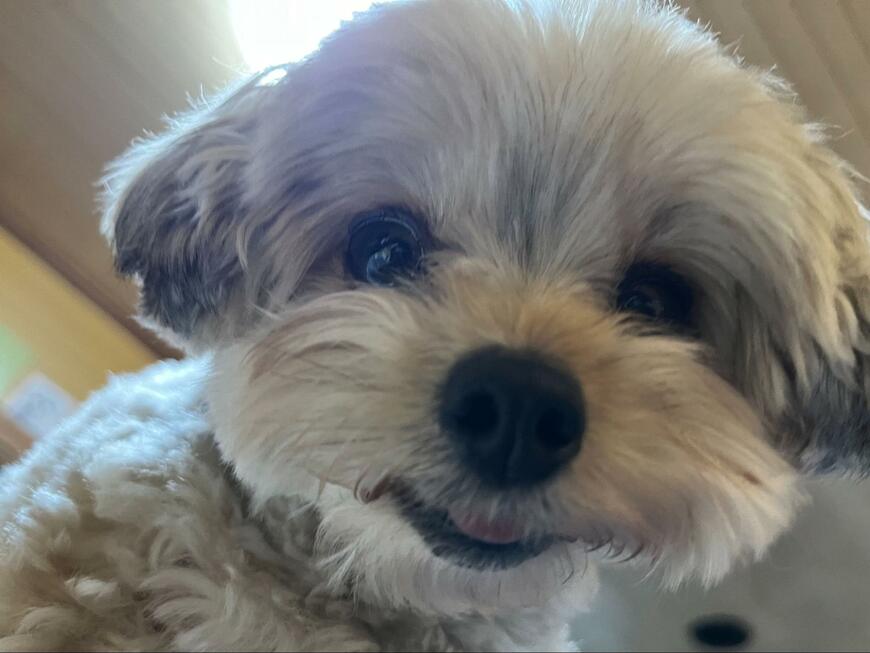 出所：@potage_0924