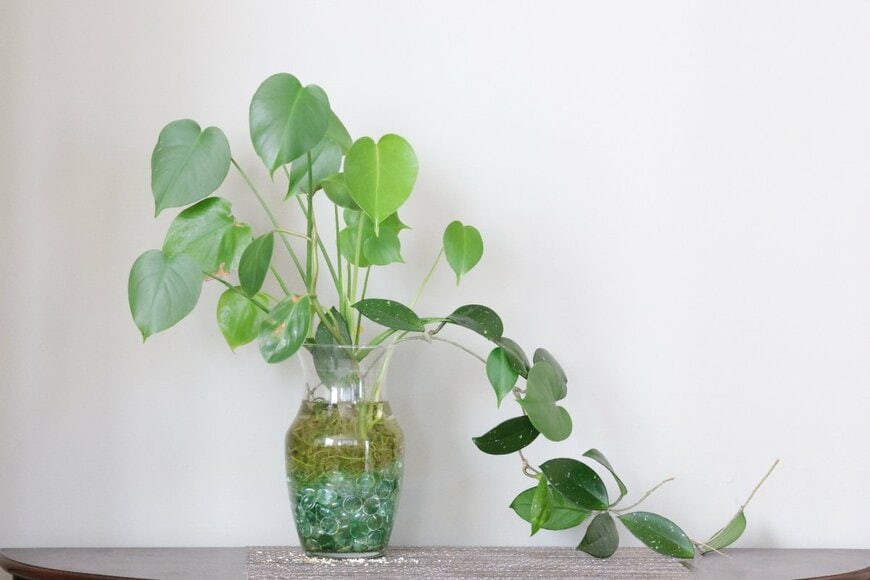 dong shin/shutterstock.com