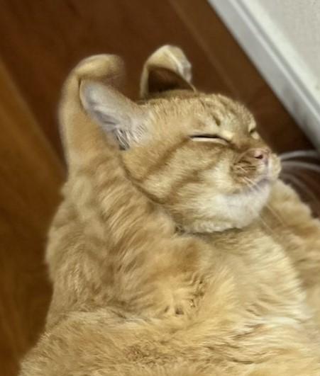 出所：@kagisuzu0531