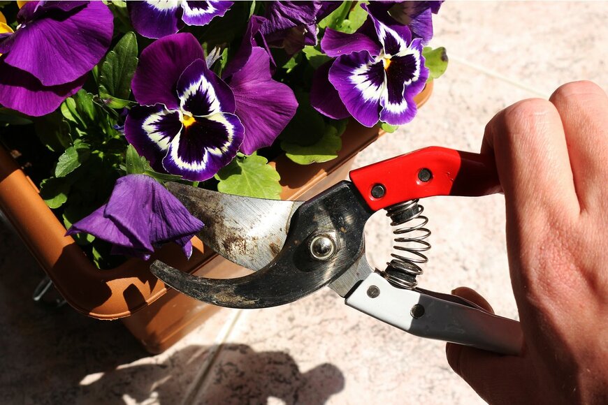 Aybarskr/Shutterstock.com