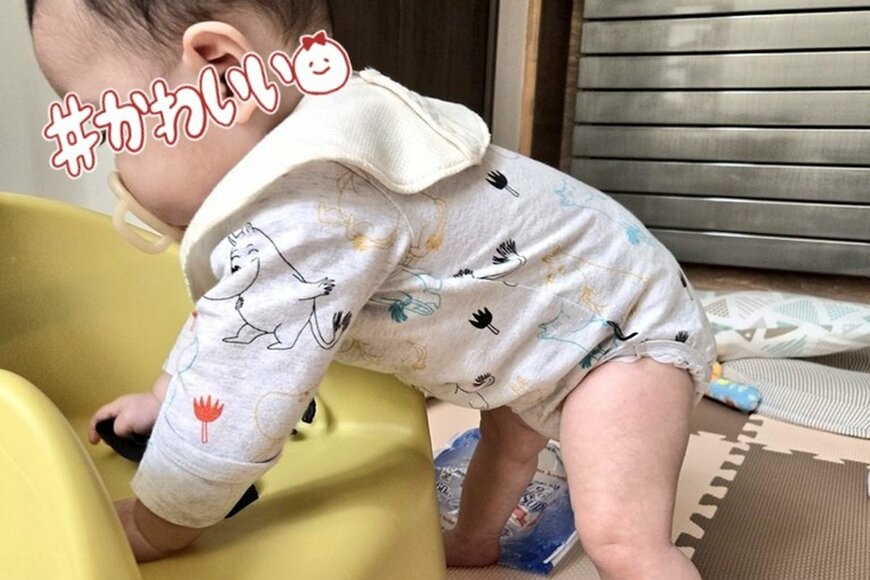 投稿写真