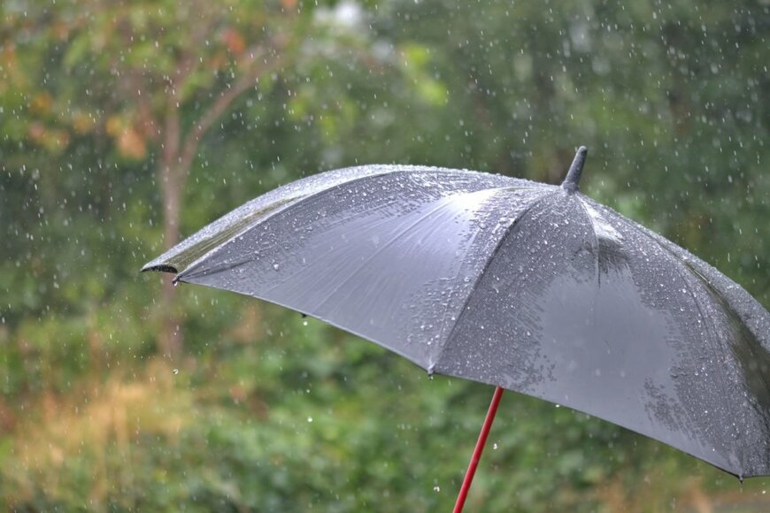雨傘のイメージ