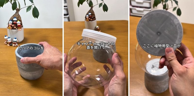 投稿の画像