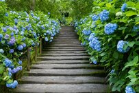 厚生年金「月20万円以上」「月10万円未満」の割合はどれくらいか