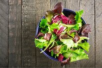 プランターで育てるベランダ家庭菜園、1か月で収穫できる「秋のオススメ野菜」