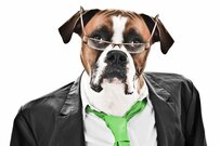 世代別貯蓄、50代で1000万円超えるワケ