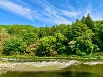 「漁夫の利にもほどがある」恋路を争うトンボ5匹を総取り　「カラスの一網打尽」の瞬間が撮影される