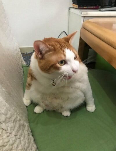 面白い座り方のふうたくん