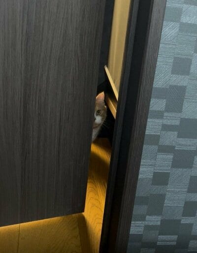 虎太郎くんは見た！