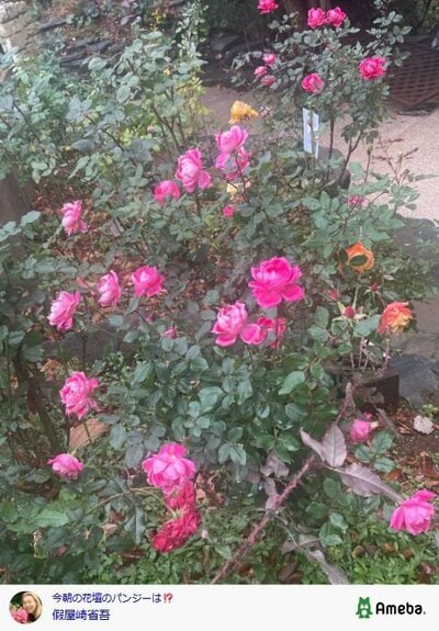 假屋崎省吾の公式ブログ投稿