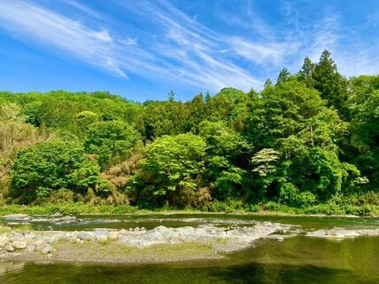 「漁夫の利にもほどがある」恋路を争うトンボ5匹を総取り　「カラスの一網打尽」の瞬間が撮影される
