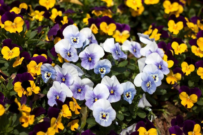 janniwet/istockphoto.com