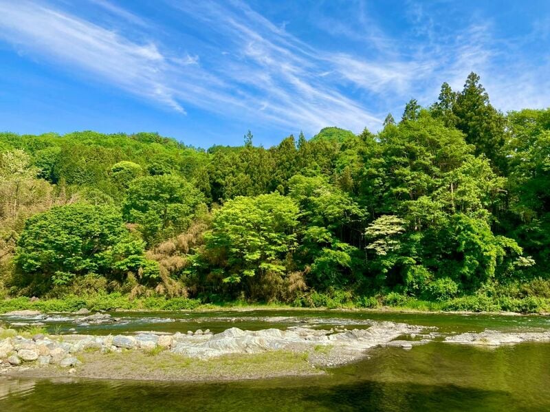 「漁夫の利にもほどがある」恋路を争うトンボ5匹を総取り 「カラスの一網打尽」の瞬間が撮影される