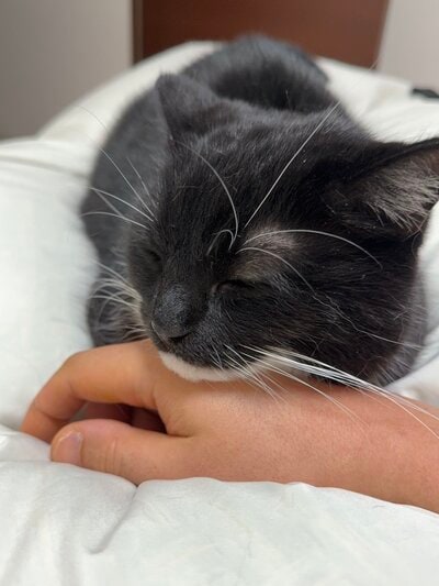 出所：＠unicouniuni3