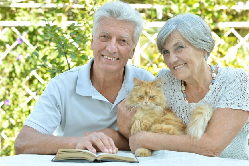 70歳代で「貯蓄3000万円」ある人の割合は？2024年開始の新NISA情報も解説