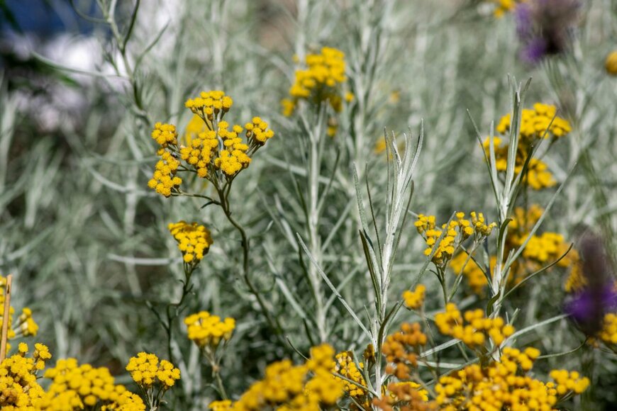 Iva Vagnerova/shutterstock.com