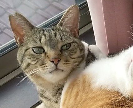 出所：@mero627puri914