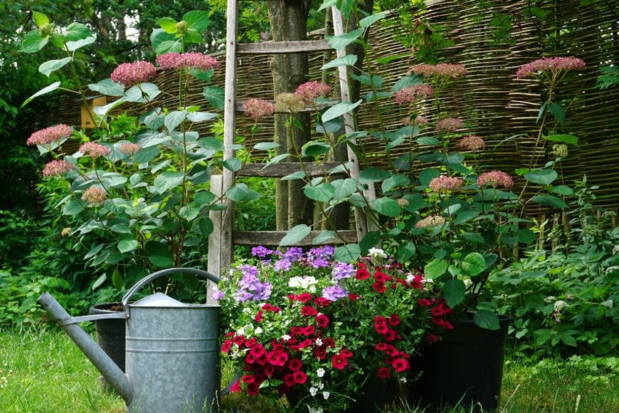 L Feddes/istockphoto.com