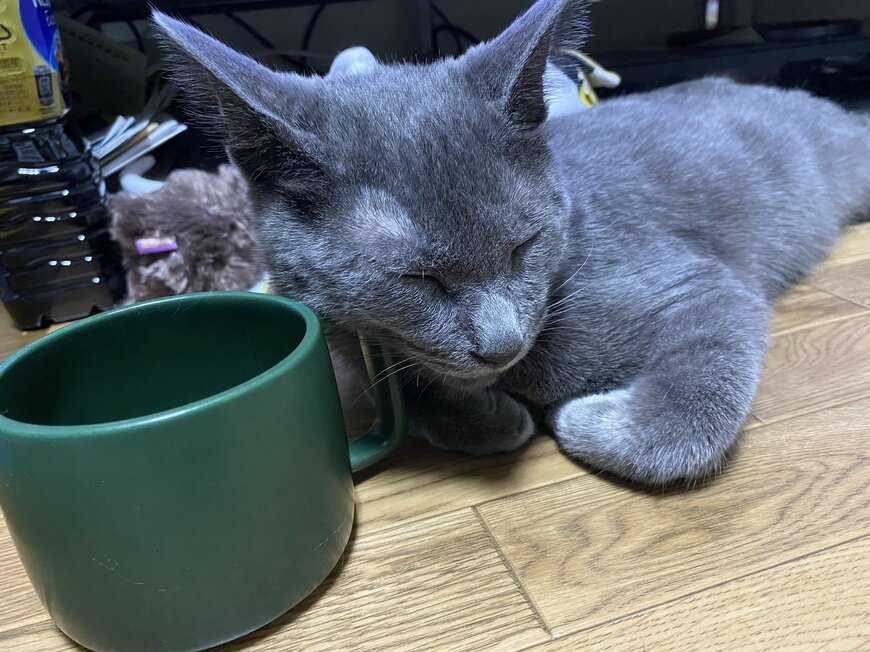 出所：@luna7taka9