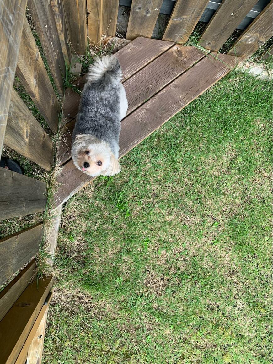 出所：@potage_0924