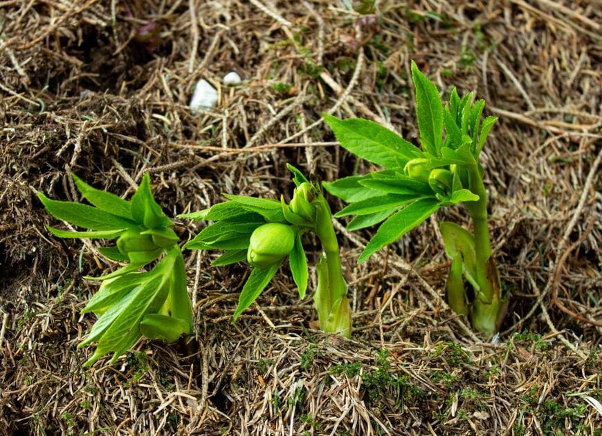 JulyLo Studio/shutterstock.com