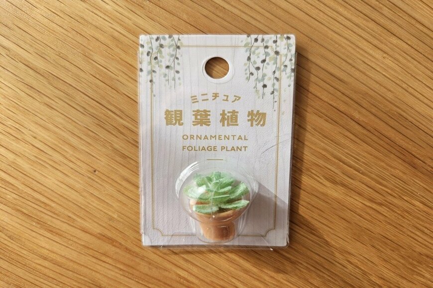 話題の「110円ミニチュア観葉植物」にうっとり【キャンドゥ】で買ってみた！